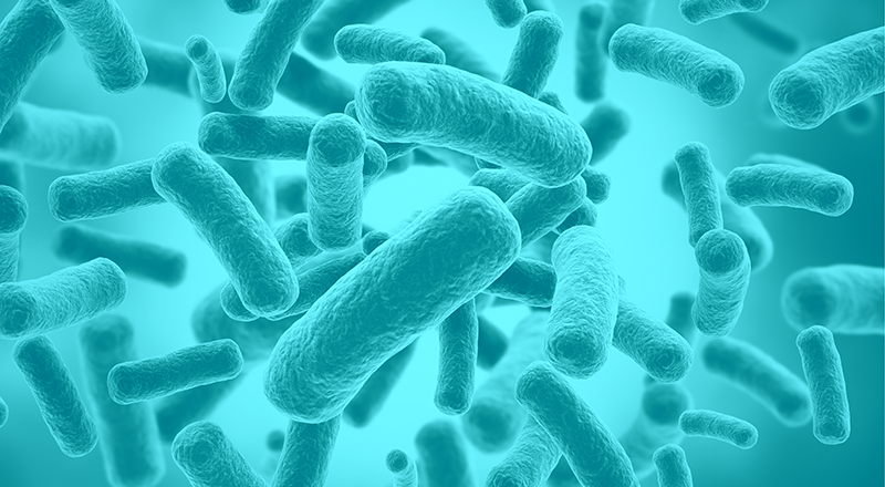 INFECCIONES RELACIONADAS CON LA ASISTENCIA SANITARIA